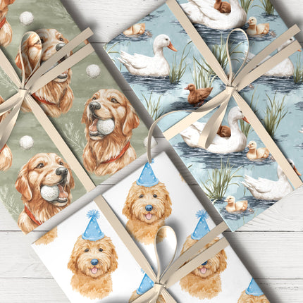Collection image for: Birthday Animals