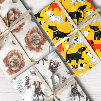 Collection image for: Everyday Dog
