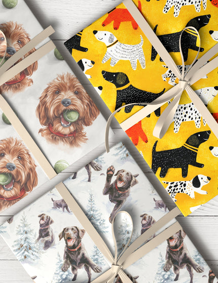 Collection image for: Everyday Dog