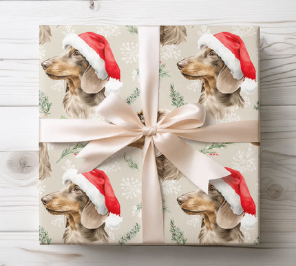 Cute dachshunds dressed as Santa Claus, a charming choice for dog lovers this holiday season. 