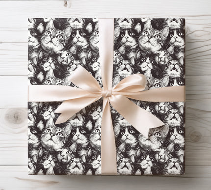 Humorous black and white cat illustrations capturing quirky moods, perfect for cat lovers. 