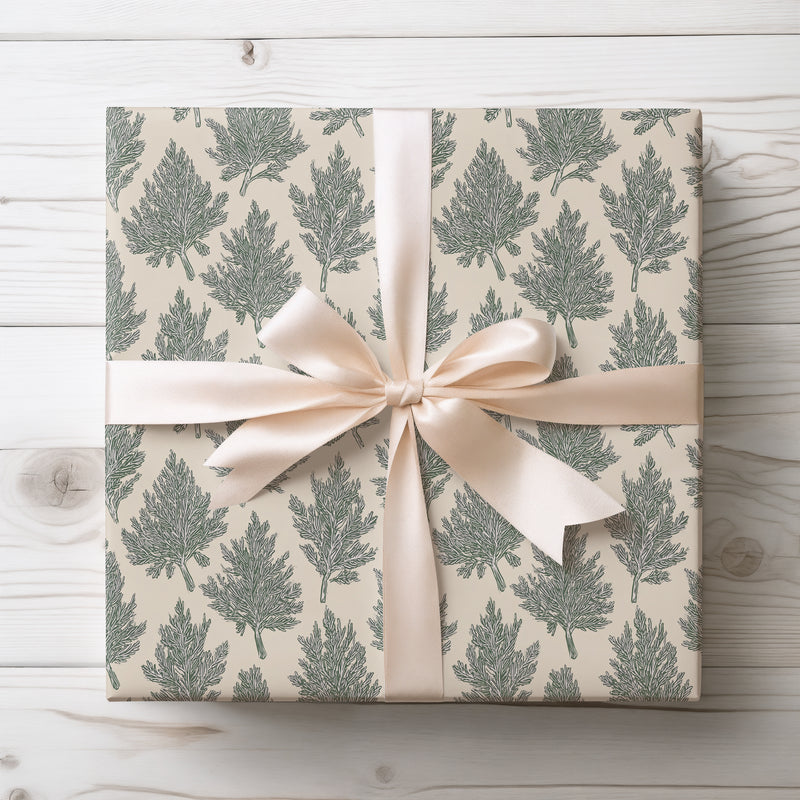 CedarTide – Evergreen Twig Pattern Wrapping Paper