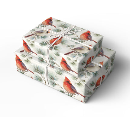 Winter Notes - Red Cardinal Bird with Winter Pine Branches Christmas Wrapping Paper