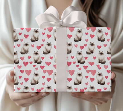 Fluffwhisker Courtship – ragdoll cat valentine wrapping paper