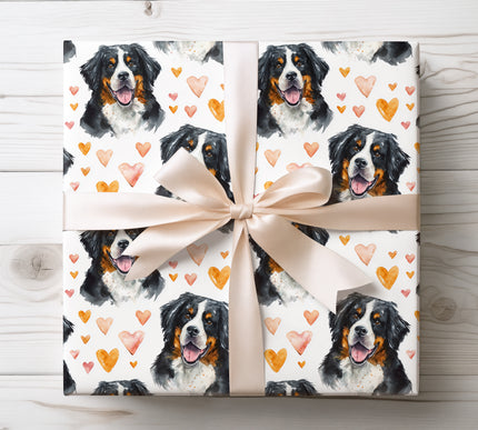 Bernese Mountain Dog with Orange Watercolor Hearts wrapping paper 
