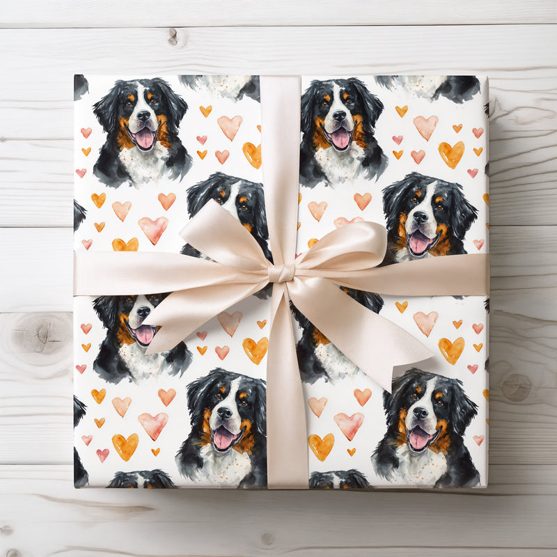 Bernheart Glow – Bernese Mountain Dog with Orange Watercolor Hearts wrapping paper