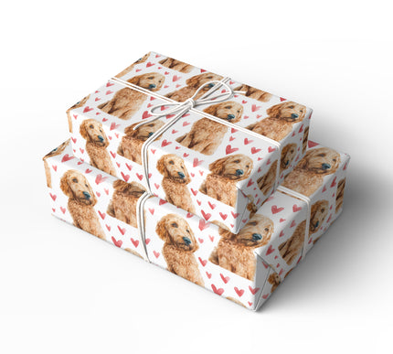 Doodlepup Romance – Golden Doodle Dog with Red Hearts Wrapping Paper