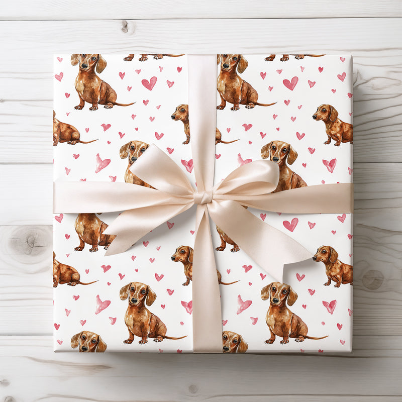 Hopkin Cuddlefluff – Sitting Dachshund Puppies and Pink Hearts wrapping paper