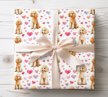Apricot poodle valentine wrapping paper 