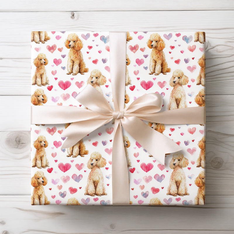 Lovercurls Parade – apricot poodle valentine wrapping paper