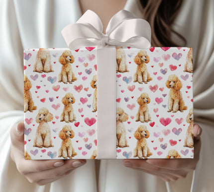 Lovercurls Parade – apricot poodle valentine wrapping paper