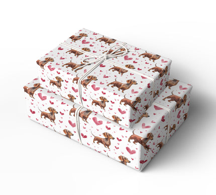 Rustwhisk Trots – Brown Dachshunds with Valentine Hearts wrapping paper
