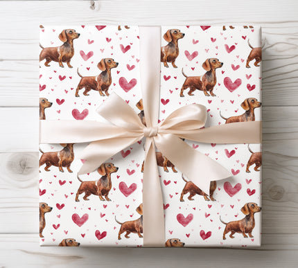 Brown dachshunds with Valentine hearts wrapping paper 