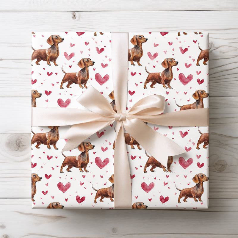Rustwhisk Trots – Brown Dachshunds with Valentine Hearts wrapping paper