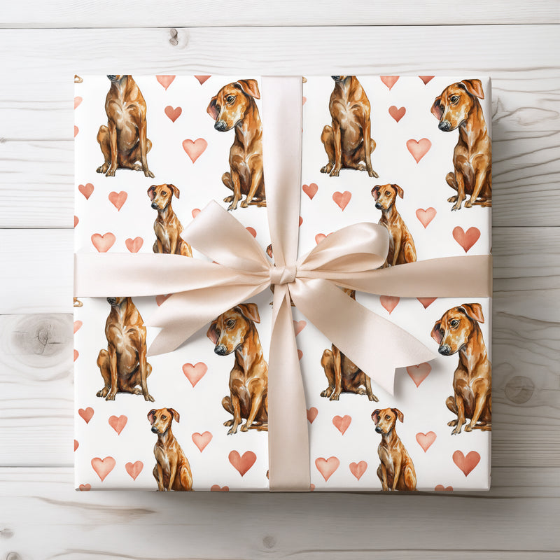 Amberstride Affection – Azawakh watercolor hearts wrapping paper