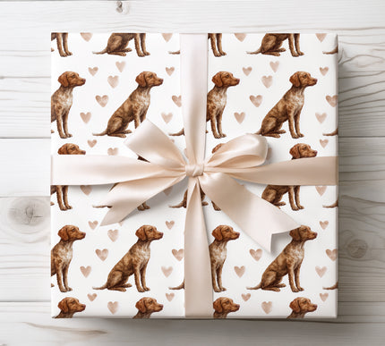Beautiful Chesapeake Bay Retriever wrapping paper showcasing a realistic watercolor dog illustration with warm heart details. Perfect for Chesapeake Bay Retriever fans, dog themed gifts, birthdays, Christmas, and special celebrations. High-quality, elegant dog breed wrapping paper designed for pet lovers. 