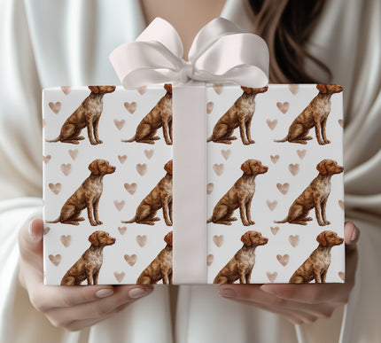 Baywood Affection – Chesapeake Bay Retriever Hearts wrapping paper