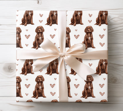 Beautiful watercolor Boykin Spaniel wrapping paper with warm brown tones and delicate hearts. Seamless repeating pattern designed for dog lovers, pet-themed gifts, Valentine presents, and special occasions. High-quality wrapping paper. 