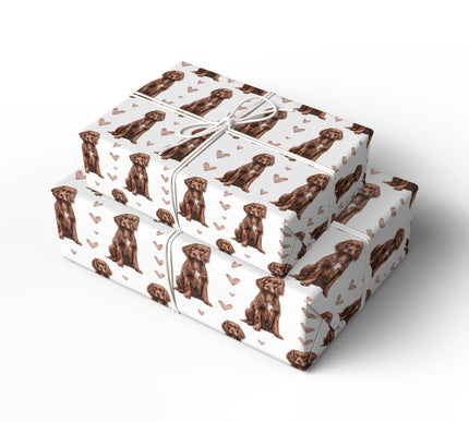 Cocoaheart Drift – Boykin Spaniel Love wrapping paper