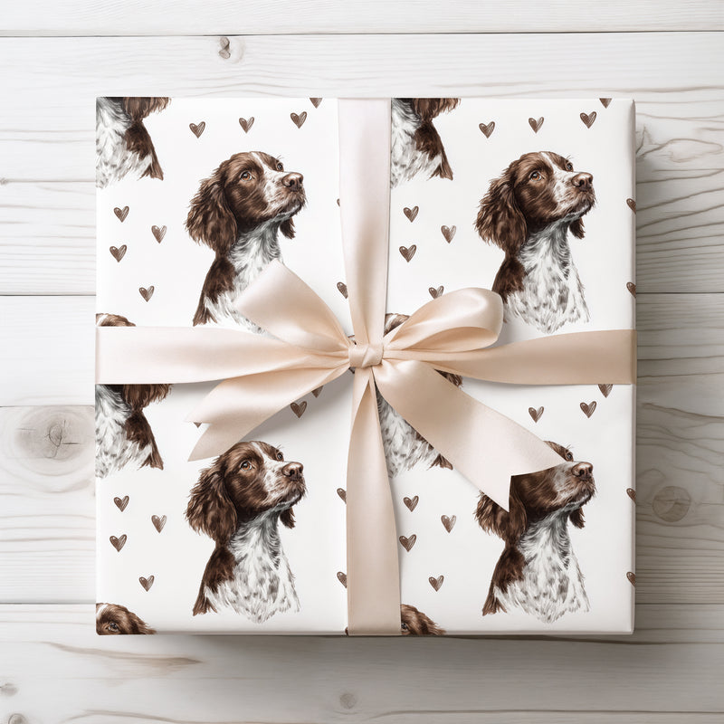 CocoaWhisper – Sweet Boykin Spaniel Hearts wrapping paper