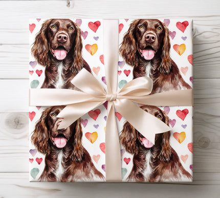 Seamless watercolor wrapping paper featuring a happy Boykin Spaniel dog with colorful heart accents. Ideal for Boykin Spaniel owners, dog lovers, birthdays, Valentine’s Day gifts, and charming pet themed wrapping. Elegant white background with rich watercolor texture. 