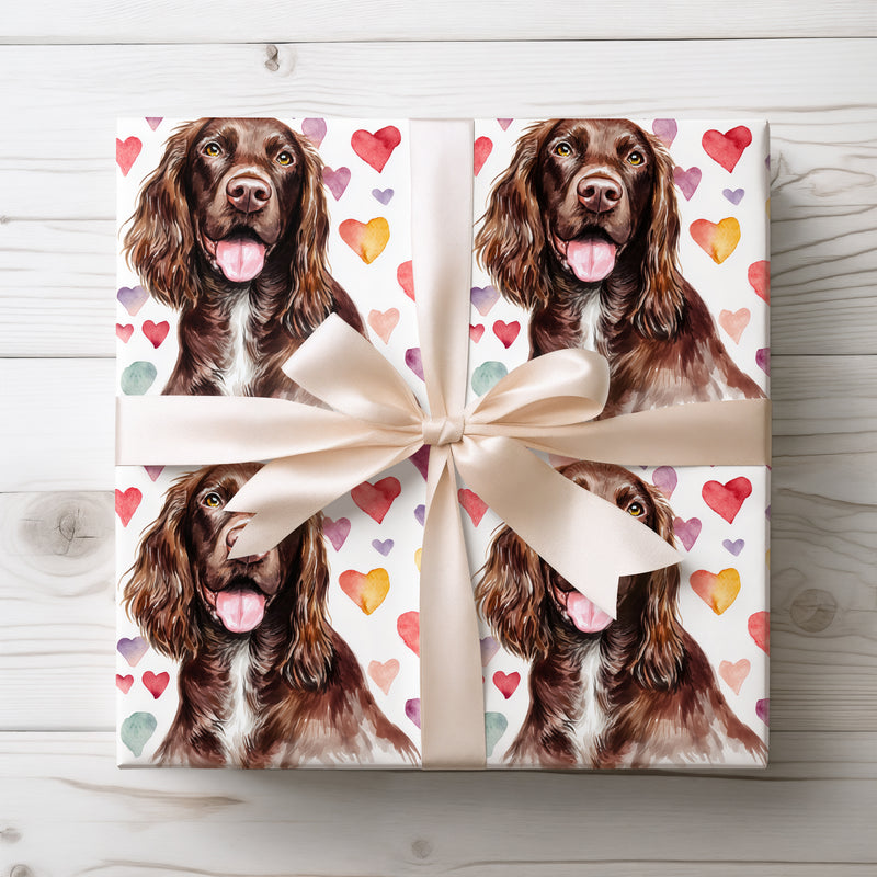 Coppersoul Affection – Boykin Spaniel watercolor hearts wrapping paper