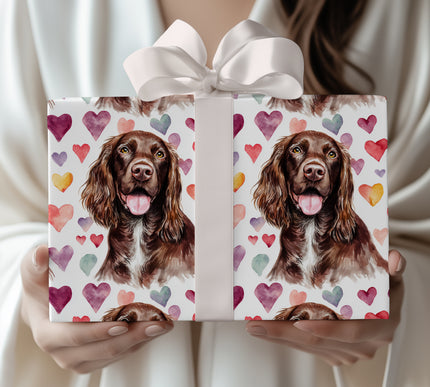 Coppersoul Affection – Boykin Spaniel watercolor hearts wrapping paper