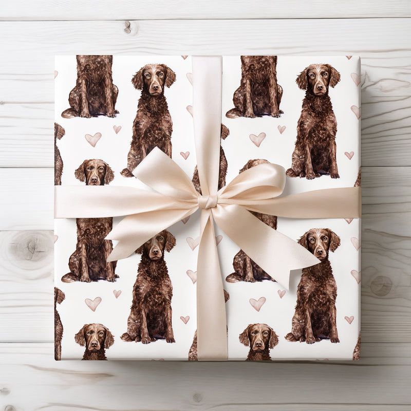 Curlhaven Grace – Curly Coated Retriever hearts wrapping paper