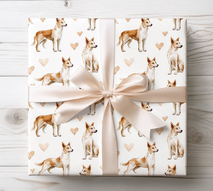 Natural and refined Canaan Dog wrapping paper showcasing a realistic watercolor Canaan Dog with soft beige heart details. Ideal gift wrap for Canaan Dog owners, rare breed lovers, birthdays, holidays and meaningful dog-themed presents. High-quality wrapping paper. 