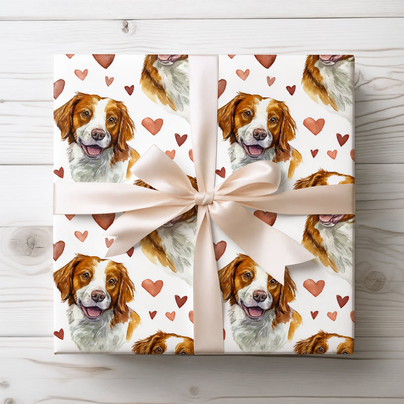 Fieldheart Delight – Brittany Dog Love Hearts wrapping paper