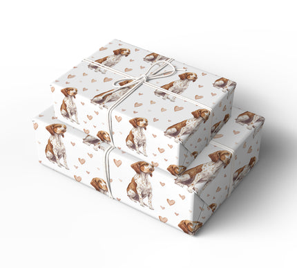 LinenPaws – Classic Bracco Italiano wrapping paper