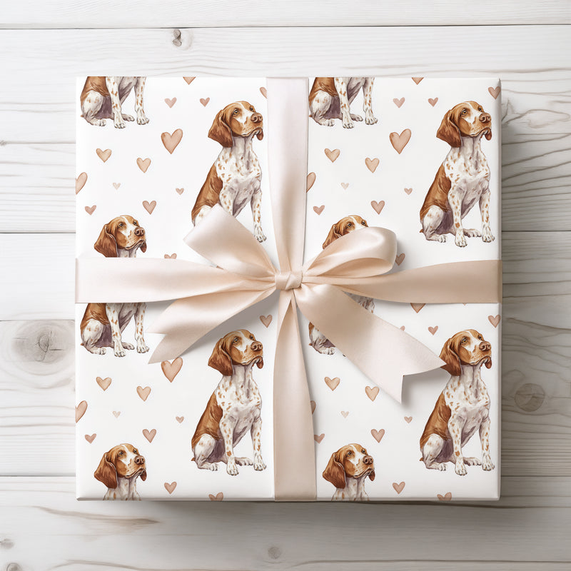 LinenPaws – Classic Bracco Italiano wrapping paper