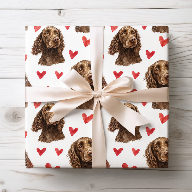 Riverheart Charm – American Water Spaniel Dog Hearts wrapping paper