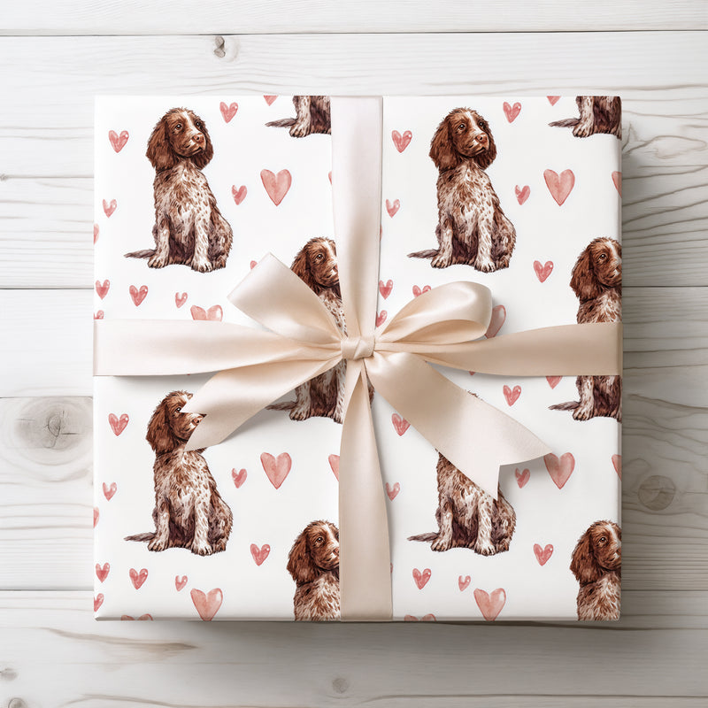 Riverheart Sweet – American Water Spaniel Dog Hearts wrapping paper