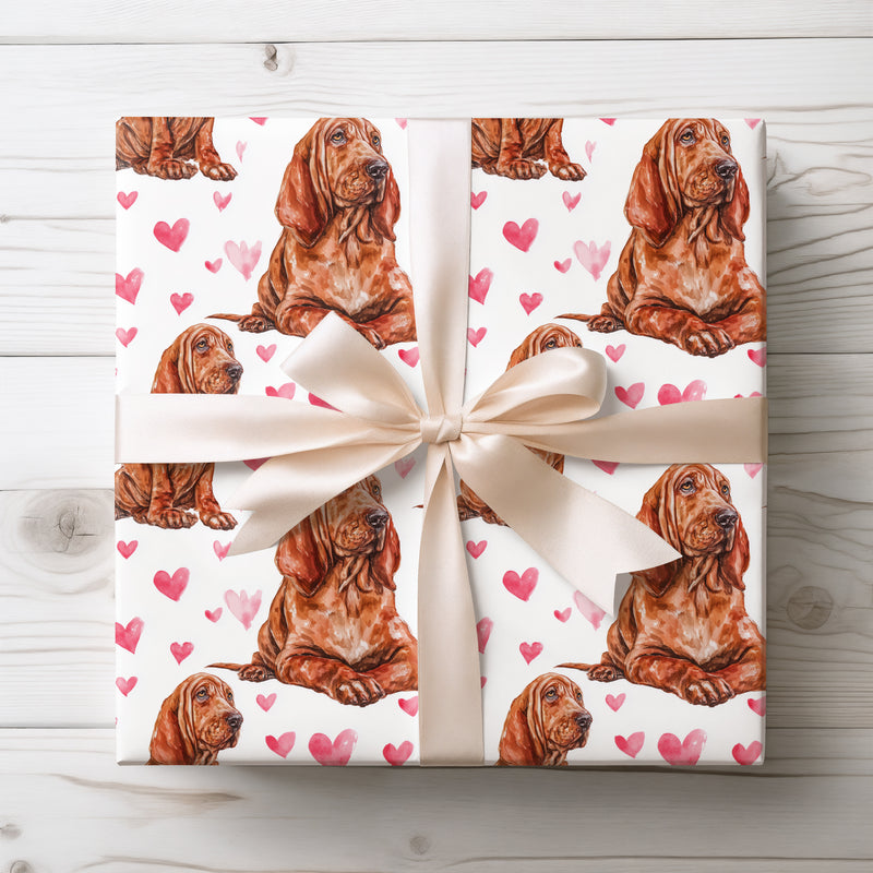 Rosy Droopshire – Bloodhound Love Hearts wrapping paper