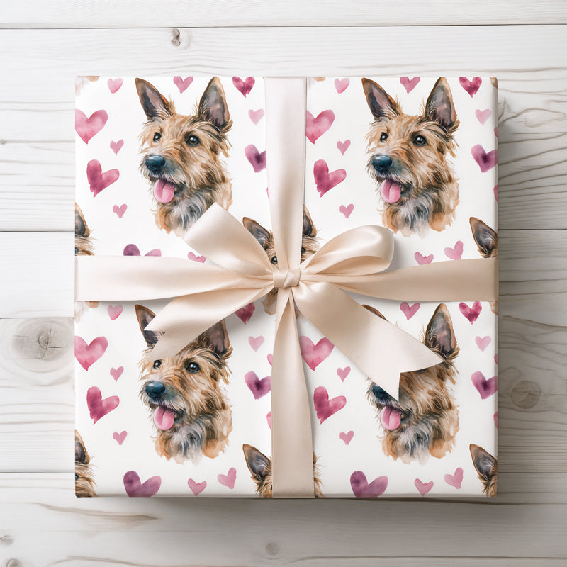 Rustfield Affection – Berger Picard watercolor hearts wrapping paper