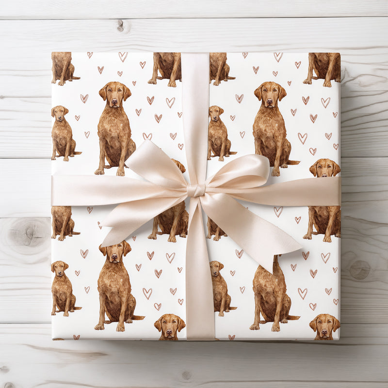 Rustic Heartbound – Chesapeake Bay Retriever Heart Watercolor wrapping paper