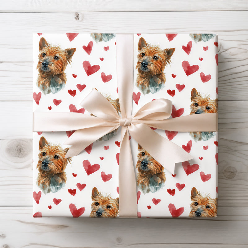 Rustwhisk Charm – Australian Terrier watercolor hearts wrapping paper