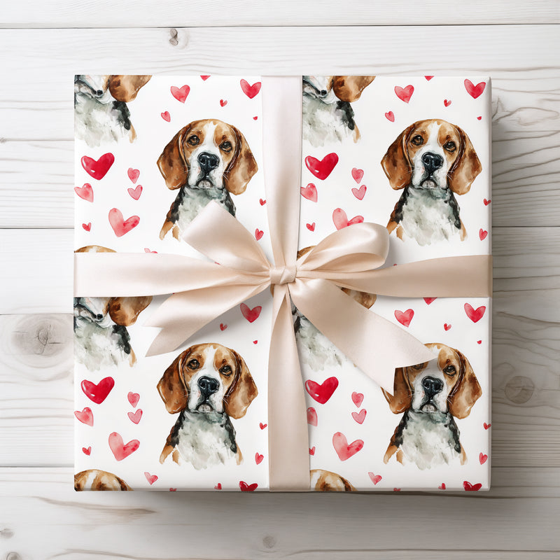 Trailnose Affection – Beagle watercolor hearts wrapping paper