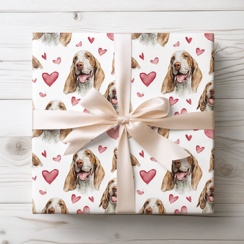 Velvet Ear Affection – Bracco Italiano Love Hearts wrapping paper