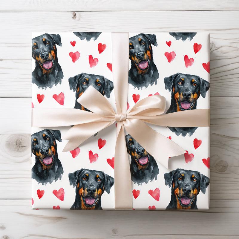 Guardedheart Valor – Beauceron watercolor hearts wrapping paper