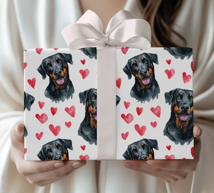 Guardedheart Valor – Beauceron watercolor hearts wrapping paper