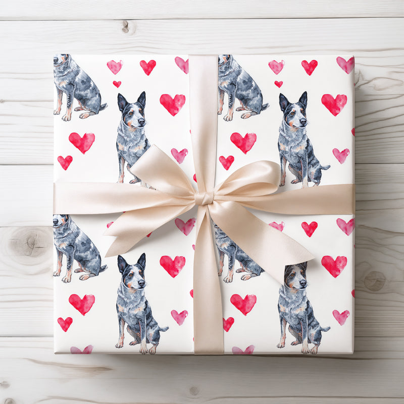 Bluetail Affection – Australian Cattle Dog watercolor hearts wrapping paper