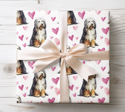 Premium Bearded Collie wrapping paper featuring a fluffy watercolor Bearded Collie illustration with soft heart accents. Perfect for Bearded Collie lovers, dog parents, Valentine’s Day gifts, birthdays, and pet-themed celebrations. Seamless Bearded Collie dog breed wrapping paper on a clean white background. 