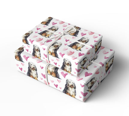 Shaggyheart Bliss – Bearded Collie watercolor hearts wrapping paper