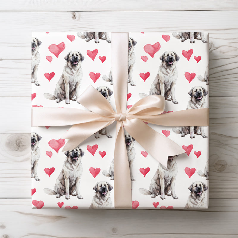Riverheart Classic – American Water Spaniel Dog Hearts wrapping paper