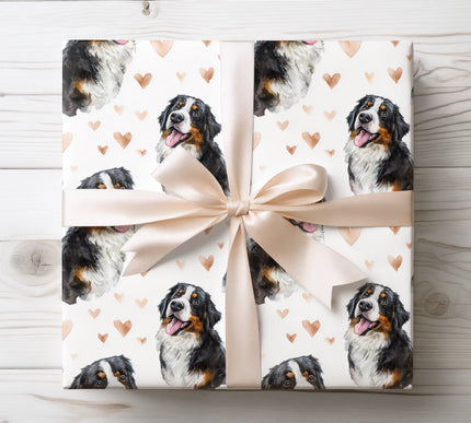 Elegant Bernese Mountain Dog wrapping paper showcasing a detailed watercolor dog illustration with warm blush heart accents on a clean white background. Ideal for dog lovers, romantic gifts, Valentine’s Day, anniversaries, birthdays, or everyday gifting. This Bernese Mountain Dog watercolor wrapping paper brings a timeless, warm, and heartfelt finish to every gift. 
