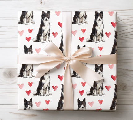 Striking Karelian Bear Dog wrapping paper showcasing a detailed watercolor illustration of the Karelian Bear Dog paired with bold heart motifs. Ideal for Karelian Bear Dog owners, dog lovers, birthdays, Valentine’s Day, and special occasions. Premium seamless wrapping paper that delivers a strong, distinctive, and heartfelt gift presentation. 