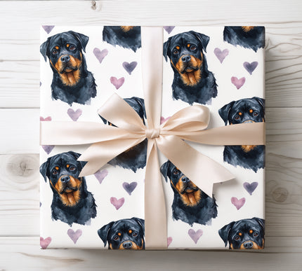 Premium watercolor Rottweiler wrapping paper featuring expressive hand-painted Rottweiler portraits accented with soft pastel hearts on a clean white background. Designed for Rottweiler lovers and dog parents, this seamless repeating pattern is perfect for birthdays, Valentine’s Day, anniversaries, holidays, and heartfelt gifts. Elegant, modern, pet-themed wrapping paper with a warm and timeless feel. 