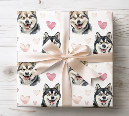 Premium Alaskan Klee Kai dog wrapping paper featuring joyful watercolor portraits with soft pink hearts on a clean white background. Perfect gift wrap for Alaskan Klee Kai lovers, dog moms and dog dads, Valentine’s Day, birthdays, anniversaries, and stylish pet-themed gifts. High-quality wrapping paper with a fresh, romantic feel. 